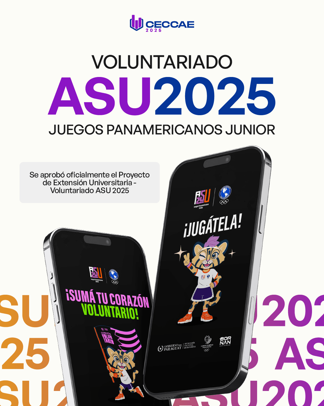 CECCAE - Voluntariado Asu2025