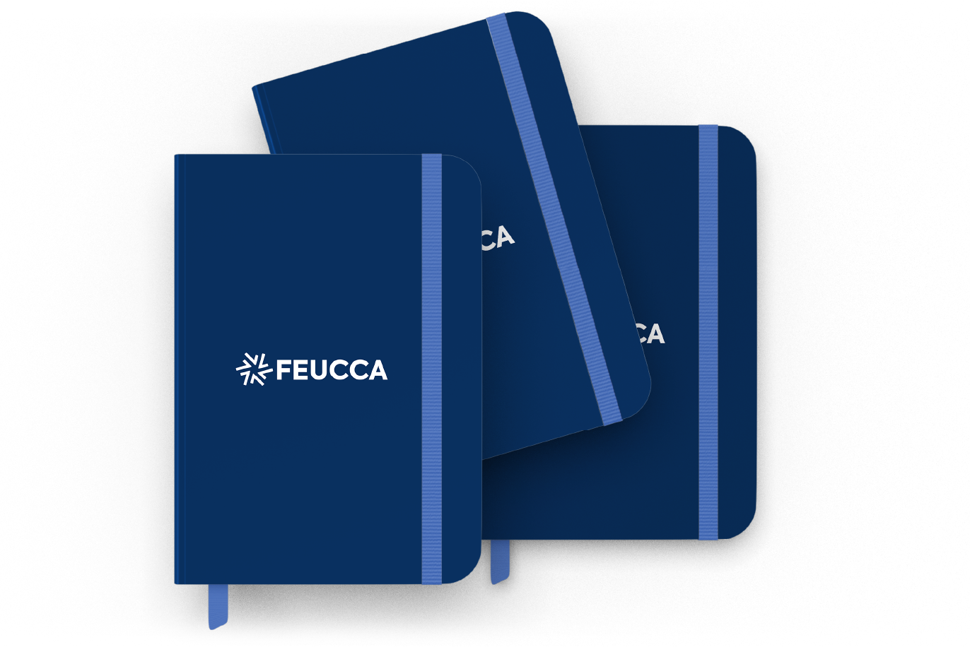 FEUCCA_5